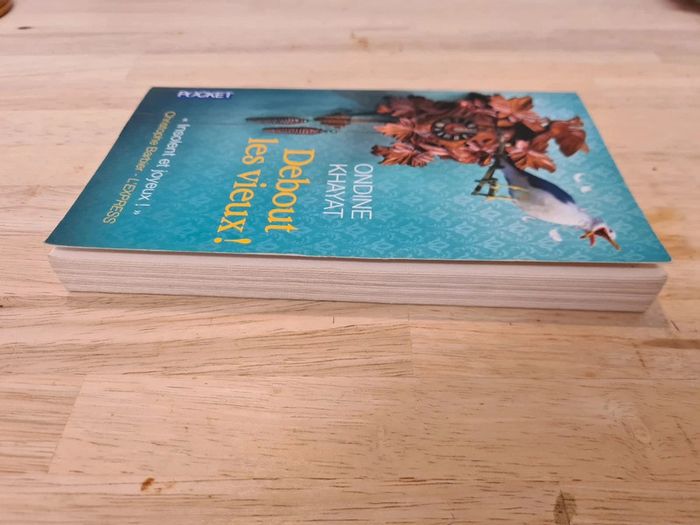 Livre poche Debout les vieux ! De Ondine Khayat - photo numéro 5