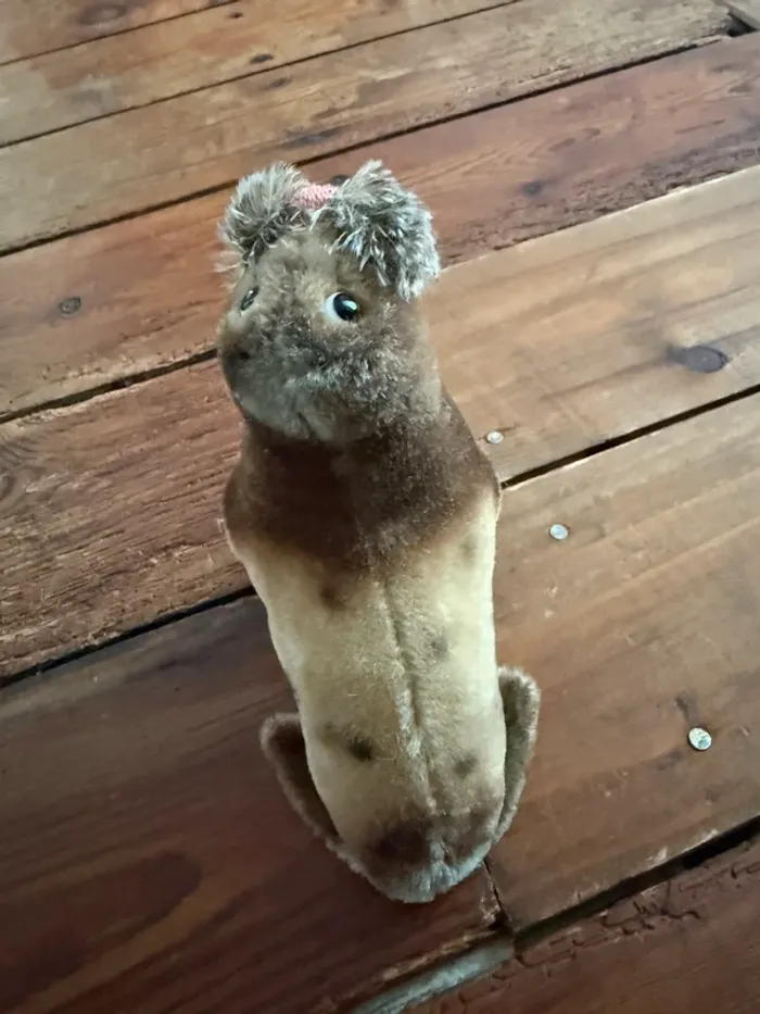 Peluche rigide très ancienne Morse Paddy Steiff 14cm collection vintage - photo numéro 6