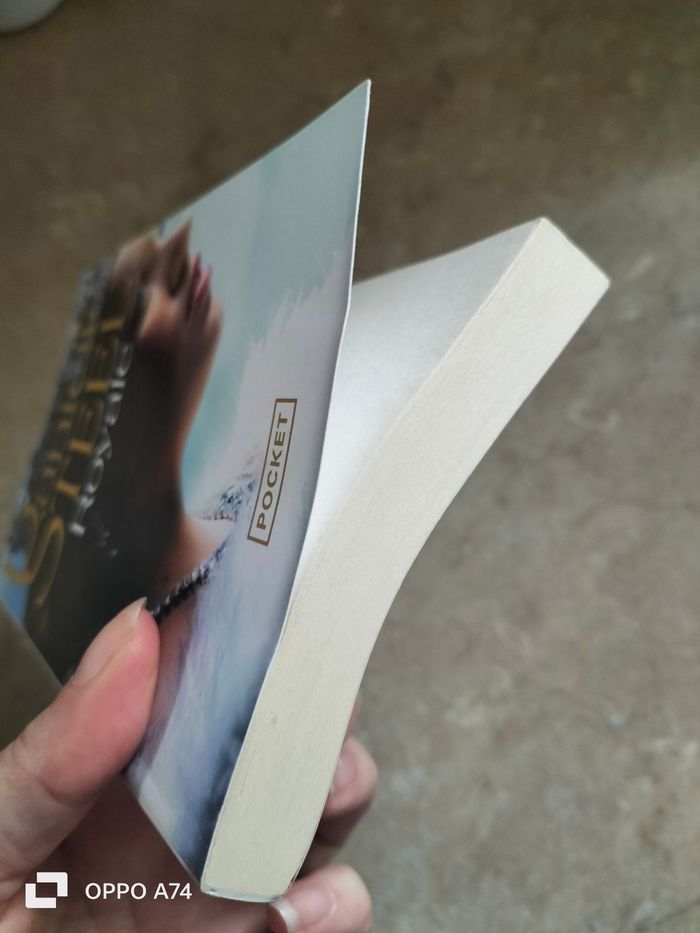 Livre 🧡 Royale de Daniel Steel - photo numéro 6