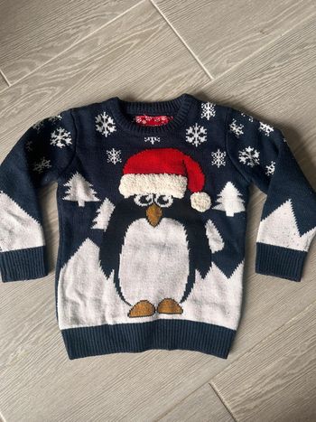 Pull de noel