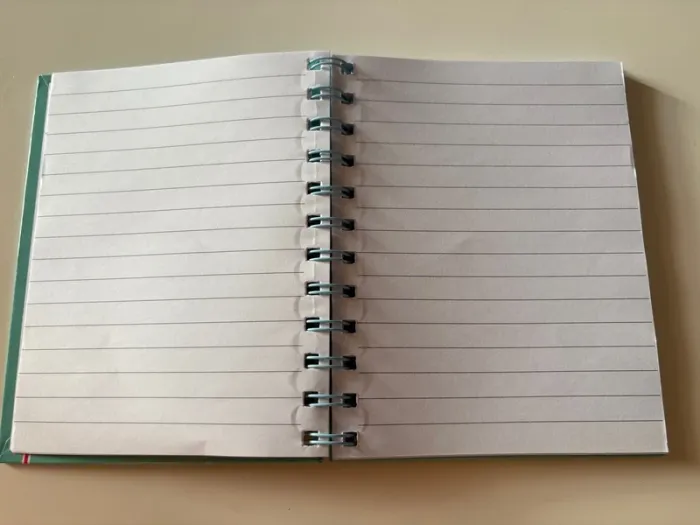 Carnet - photo numéro 4