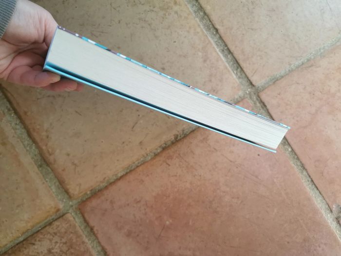 La Maison poussière, livre de Valérie Péronnet - photo numéro 6