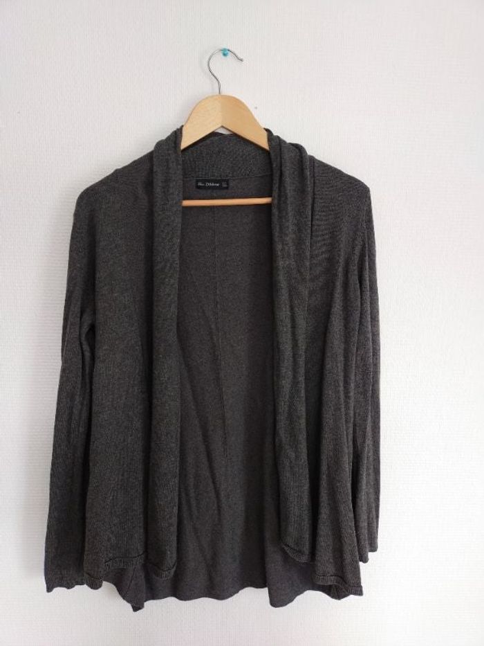 Gilet gris femme zara