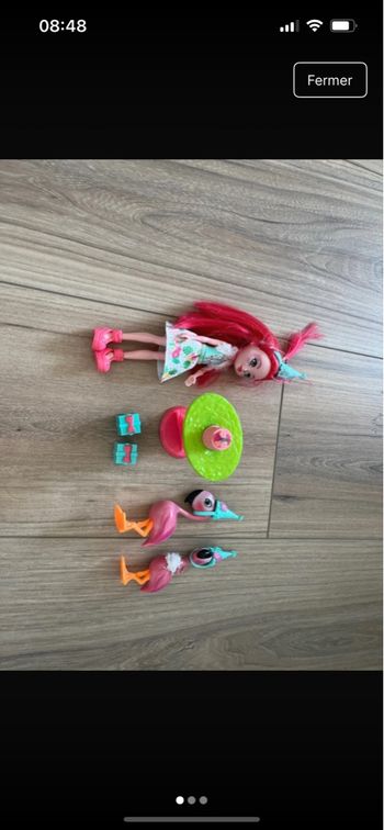 Enchantimals flamant rose