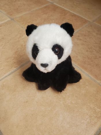 Peluche