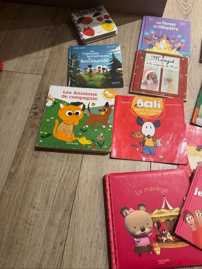 Lot livres - photo numéro 4