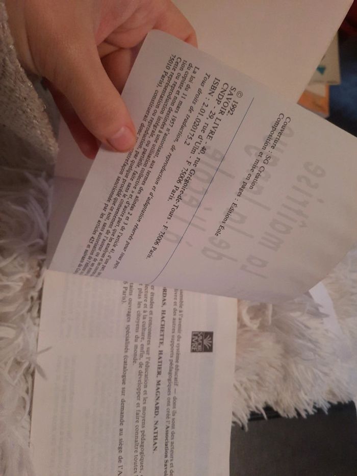 La maitrise de la langue à l'école - photo numéro 9