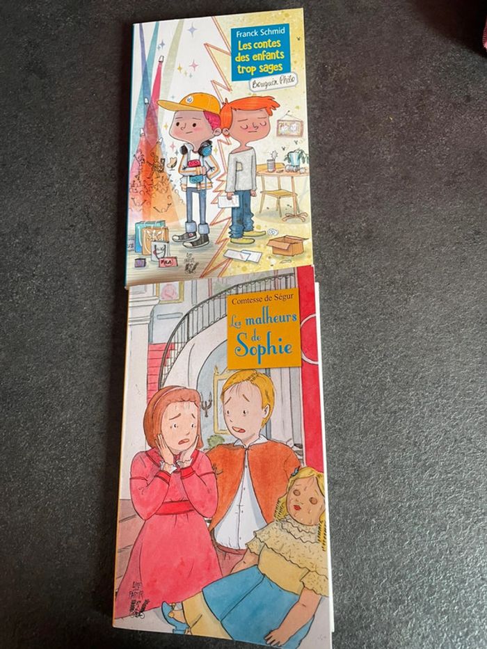 Livres les contes des enfants trop sages et les malheurs de Sophie