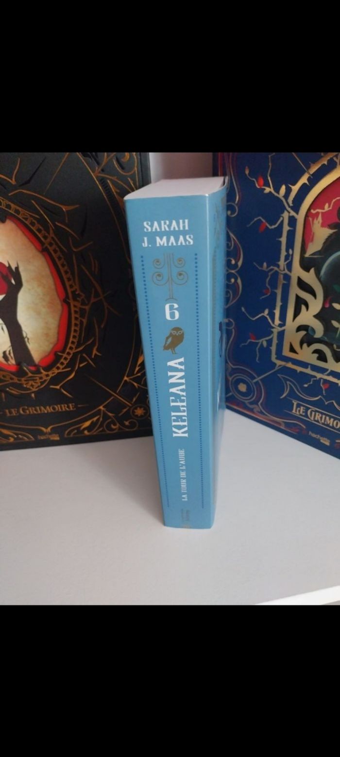 2 Romans Keleana tomes 6 La Tour de l'Aube et 7- Sarah J. Maas La Martinière - photo numéro 8