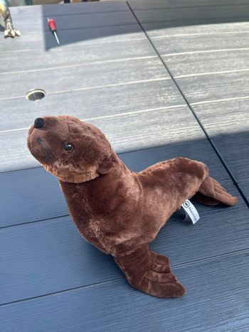 peluche otarie phoque morse lion de mer Californian Sealion Nausicaa