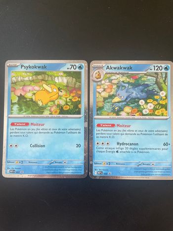 Lots de deux cartes promo en état neuf