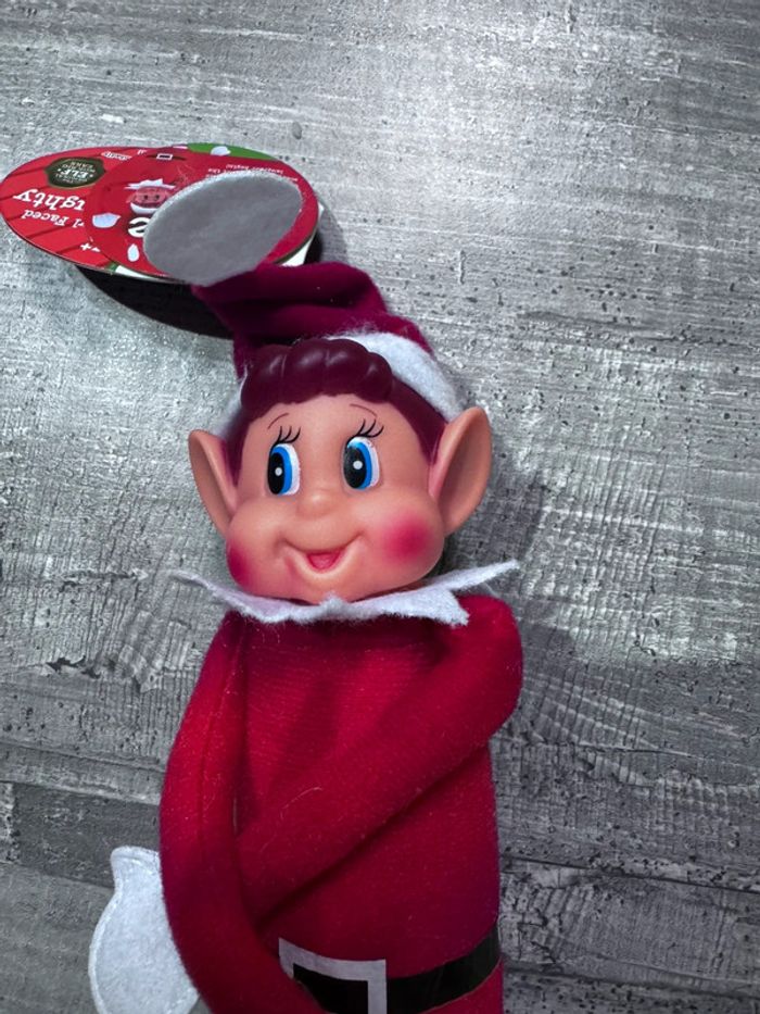 Lutin farçeur garçon - photo numéro 2