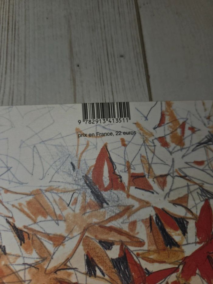 Livre jeunesse "Il neige des couleurs" - photo numéro 3