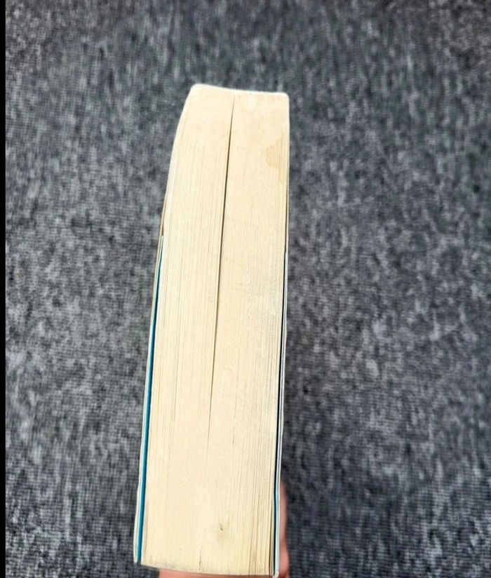 Livre Marc Levy – Une autre idée du bonheur – Roman broché – Édition Robert Laffont - photo numéro 10