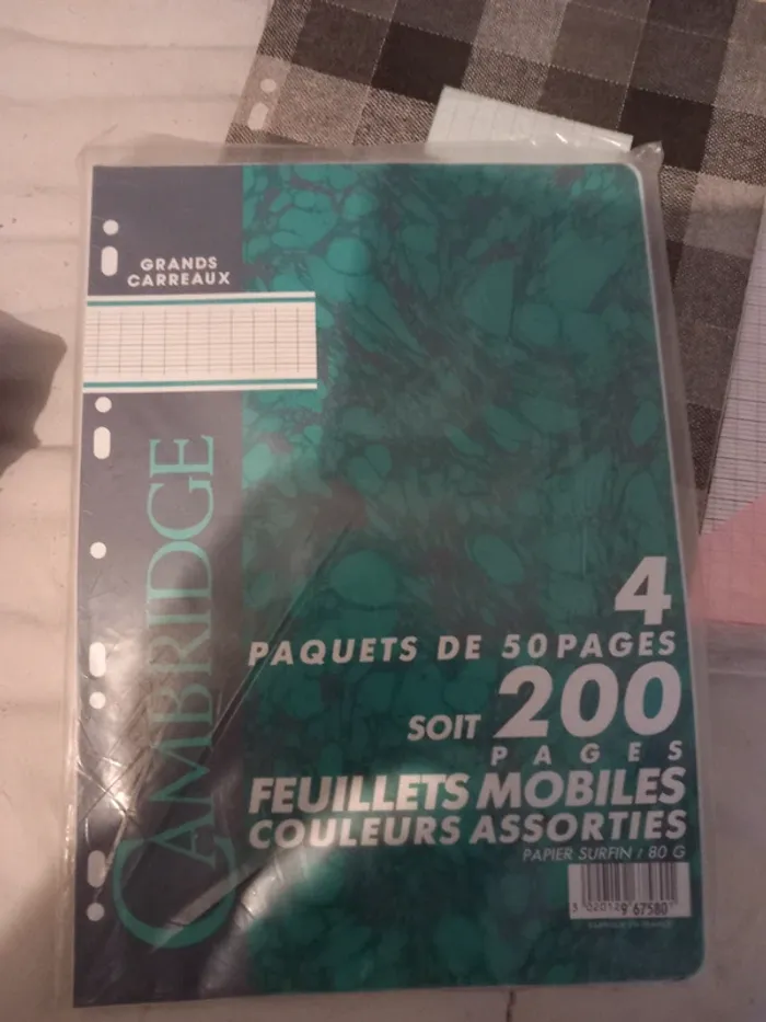Lot de feuilles de différentes couleurs 21x29,7 grands carreaux perforées