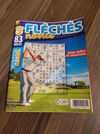 Fléchés novice n°11