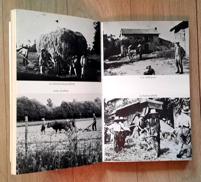 Fernand Dupuy - L'Albine - photo numéro 10