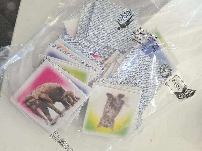 Memory animaux - photo numéro 8