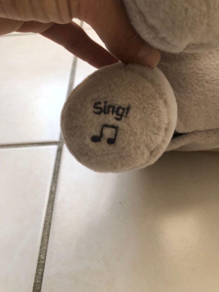 Elephant qui joue a cache cache - photo numéro 5