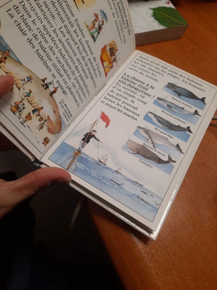 Livre découverte Benjamin - photo numéro 11