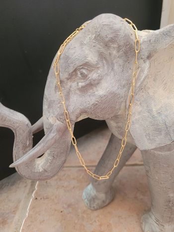 Collier en acier inoxydable doré