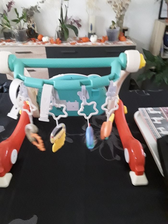 Trotteur - photo numéro 5