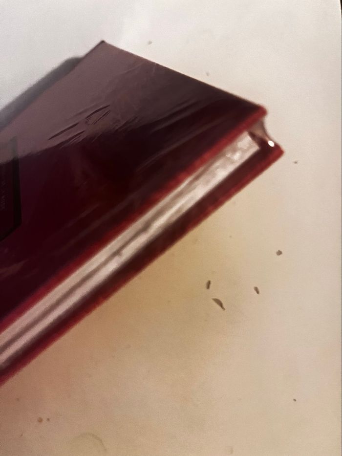 Livre les légendes de la mode sous blister - photo numéro 2