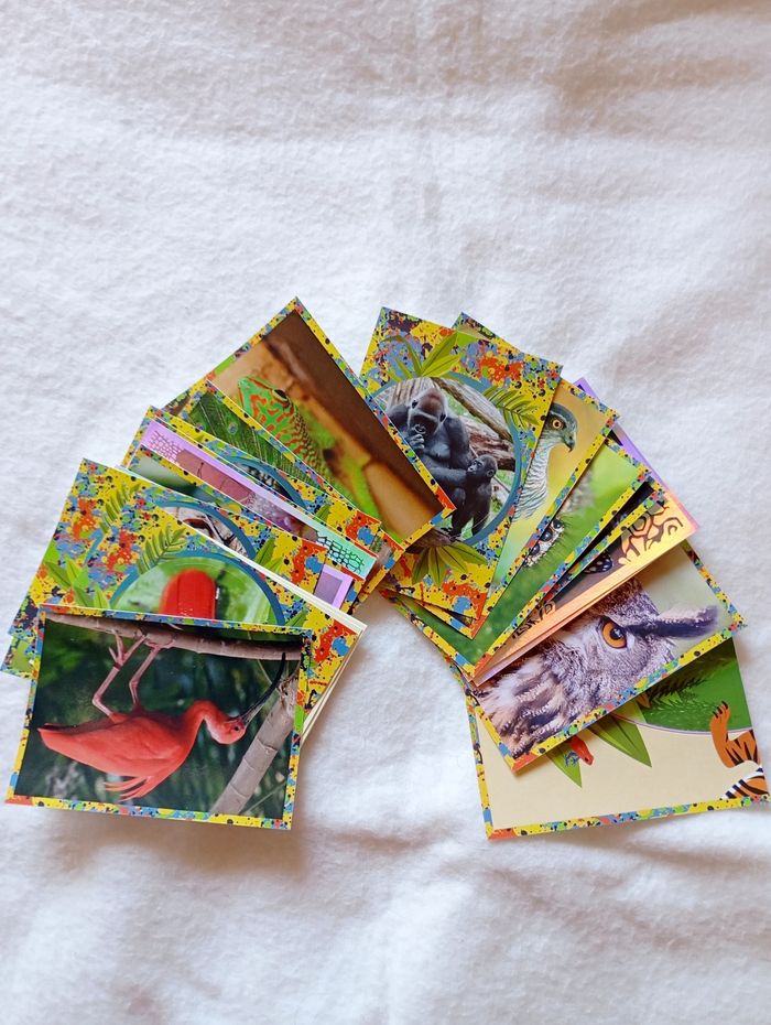 Lot de 22 stickers Panini Album Mille et une couleurs