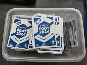 Stikers foot 2024 panini