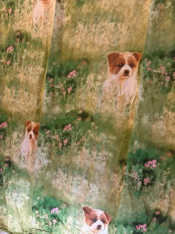 Lot draps chien chiot