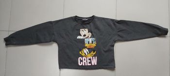 Pull Mickey Donald Pluto 12 ans