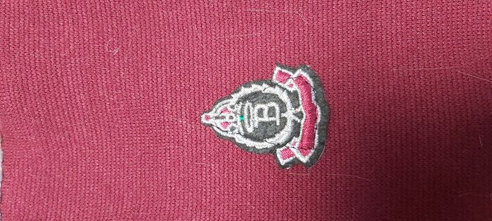 Manteau pour chien 2XL - photo numéro 2