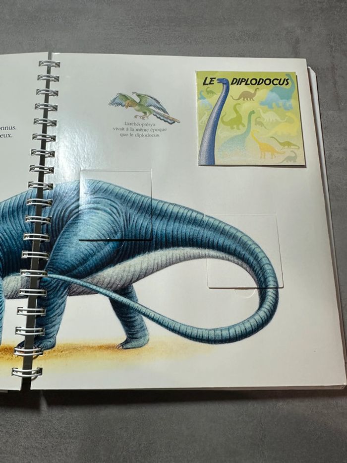 📚 Explore! Les dinosaures – mes premières découvertes (Gallimard Jeunesse) - photo numéro 2