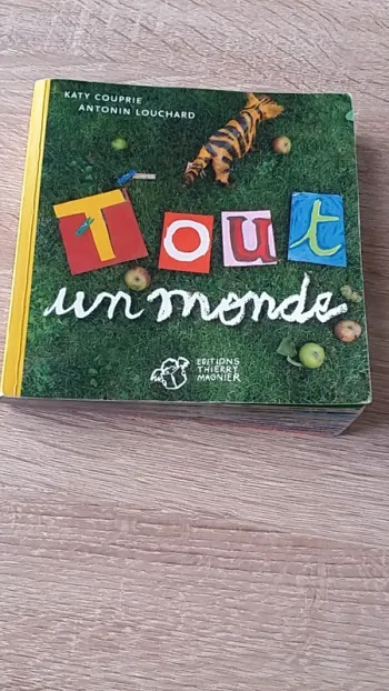 Livre d'images sans texte " tout un monde "