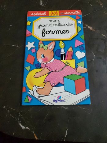 Mon cahier des grandes formes.