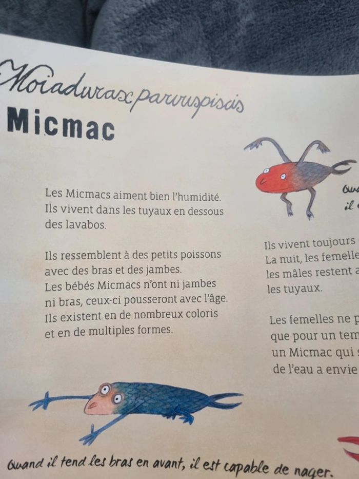 Livre neuf - photo numéro 6