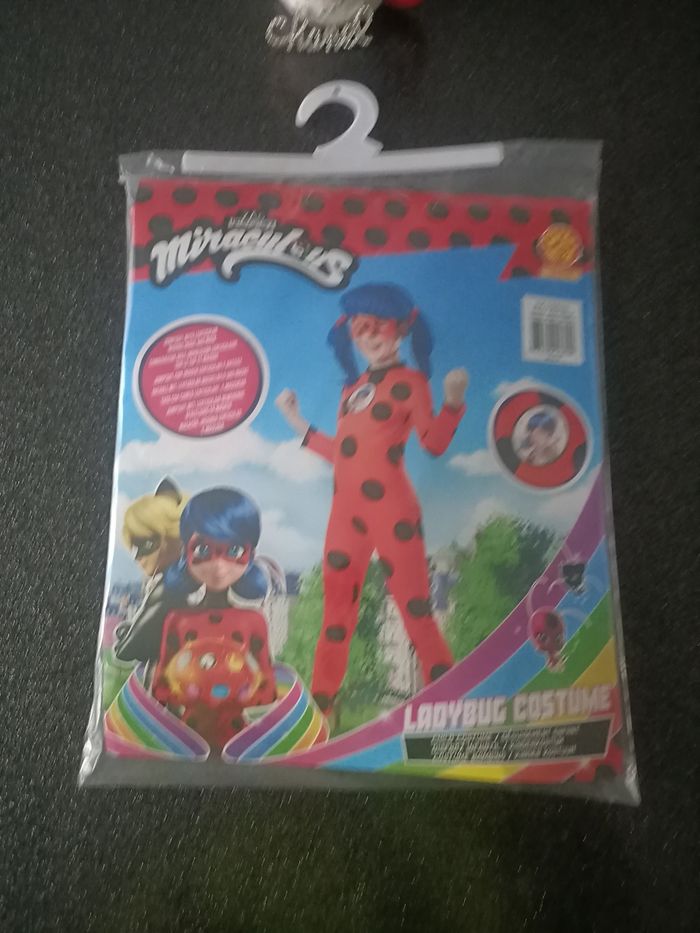 Déguisement miraculous - photo numéro 10