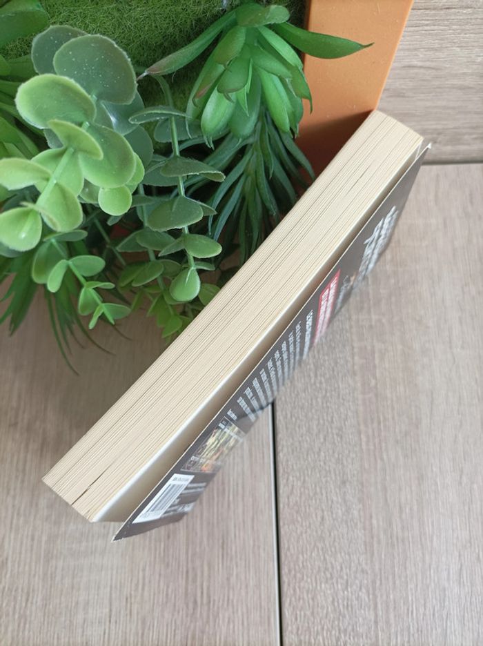 Livre Le Sorceleur n° 1 Le dernier vœu The Witcher - photo numéro 4