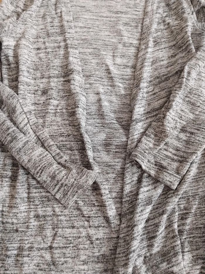 Gilet gris - photo numéro 2