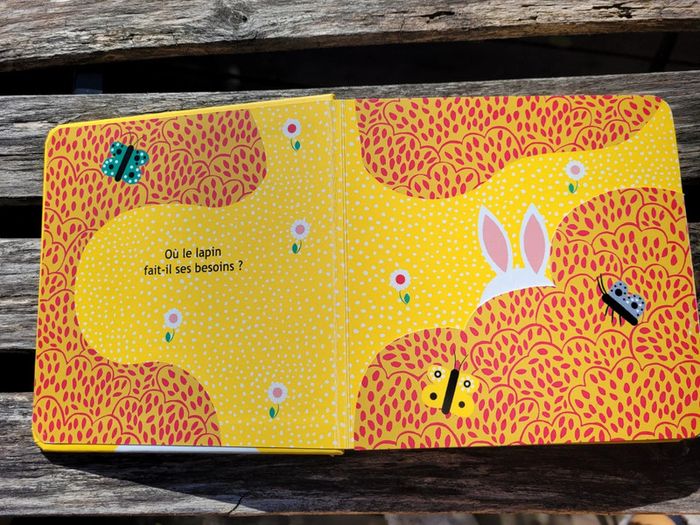 Très joli livre à volets, éditions Sarbacane, Et toi, où tu fais caca? (71) - photo numéro 3