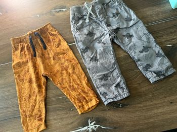Lot 2 pantalons dinosaures bébé garçon