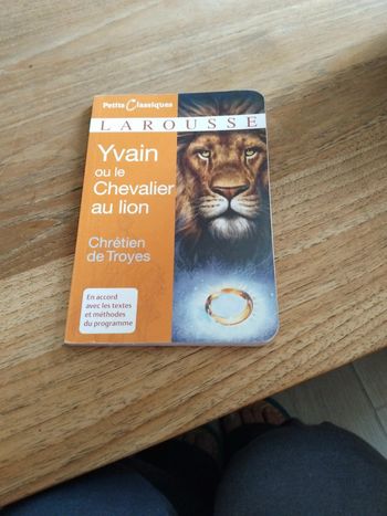 Yvain ou le chevalier au lion