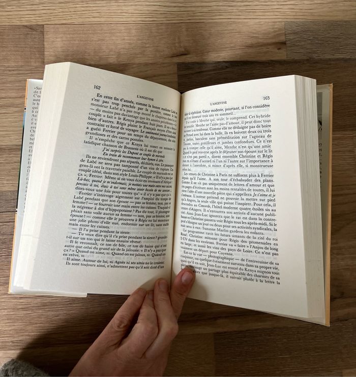Livre broché-René Fallet-L’Angevine - photo numéro 4