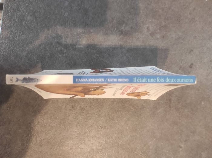 Il était une fois deux oursons H. Johansen & K. Bhend Folio Cadet Bleu 1990 - photo numéro 2