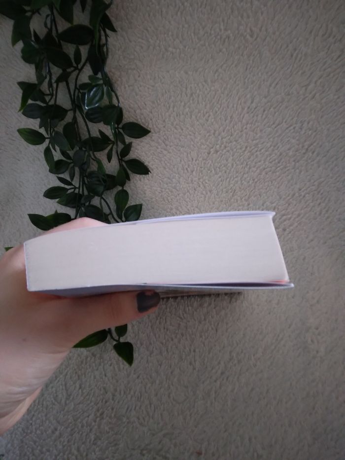 Livre Bienvenue à Lafayette - photo numéro 2