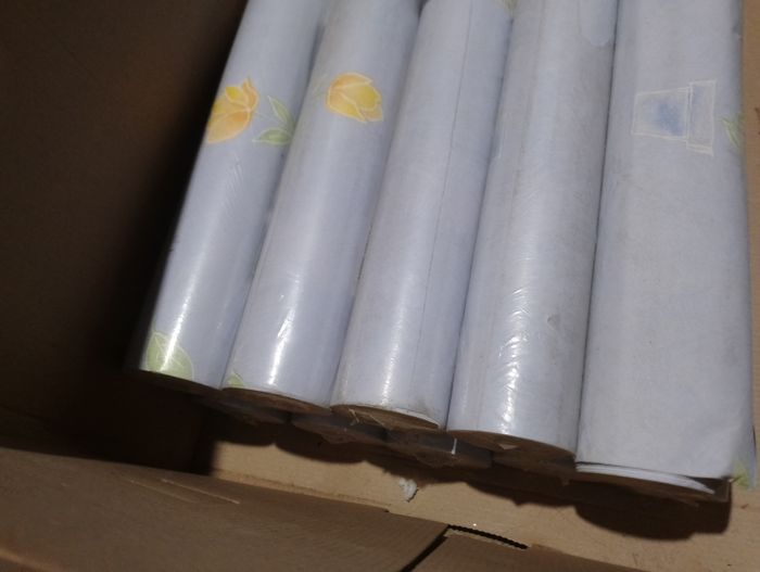 Papier peint vinyle bleu - photo numéro 6