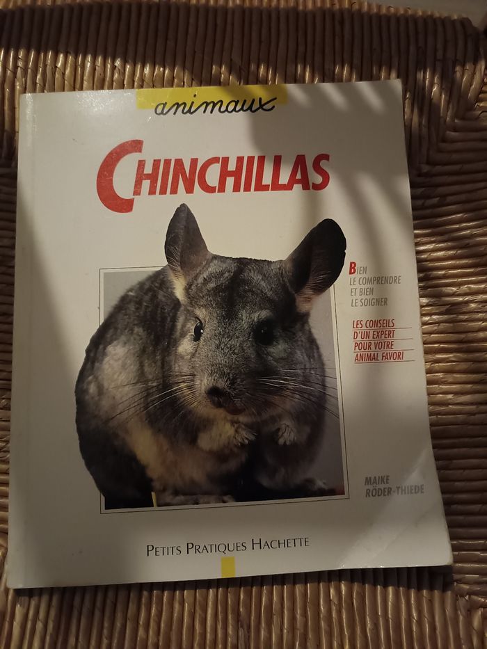 Chinchilla