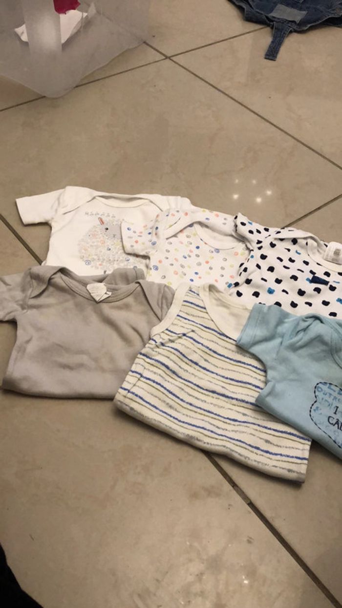 Lot 6 bodys - photo numéro 2