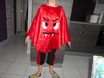 Déguisement, taille: 110 cm (5 ans)