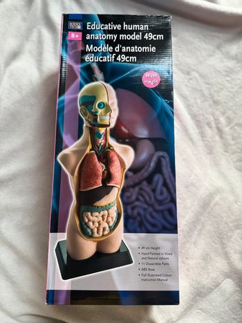 Model d’anatomie éducatif 49cm